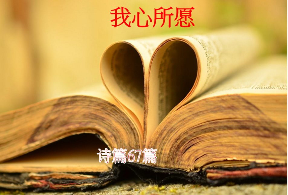 我心所愿