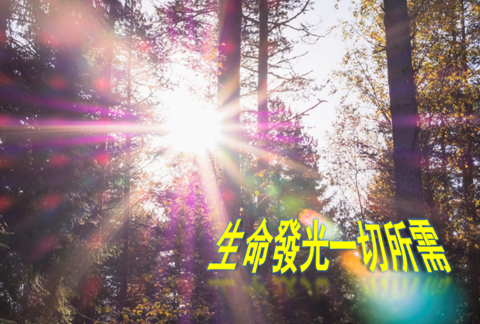 生命發光一切所需