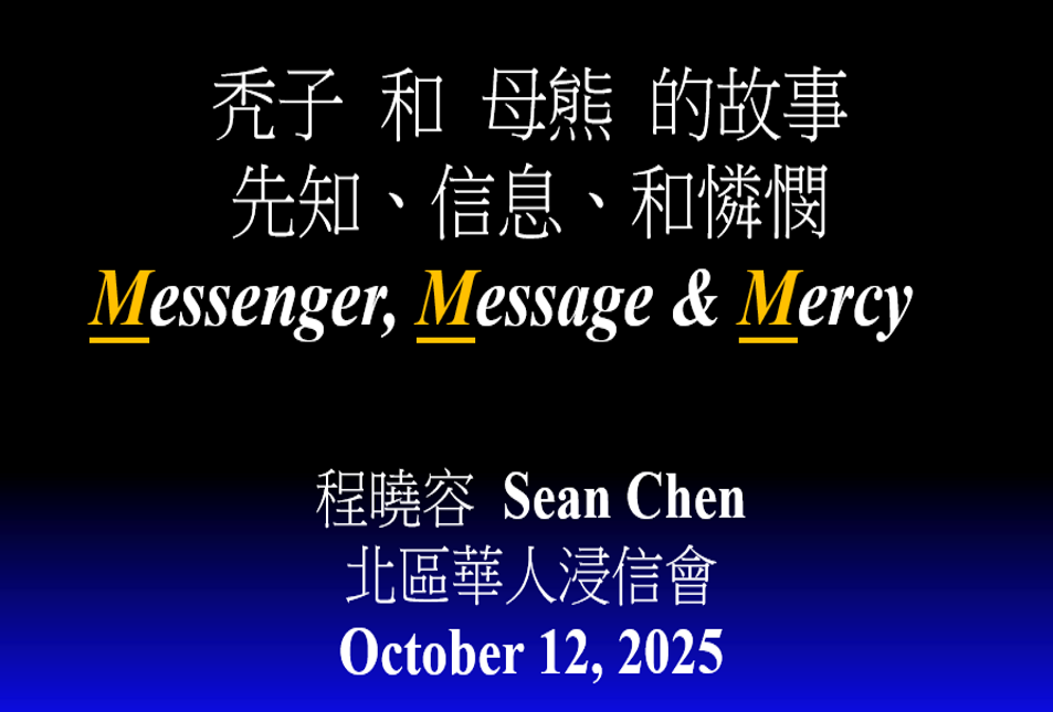 禿子和母熊的故事