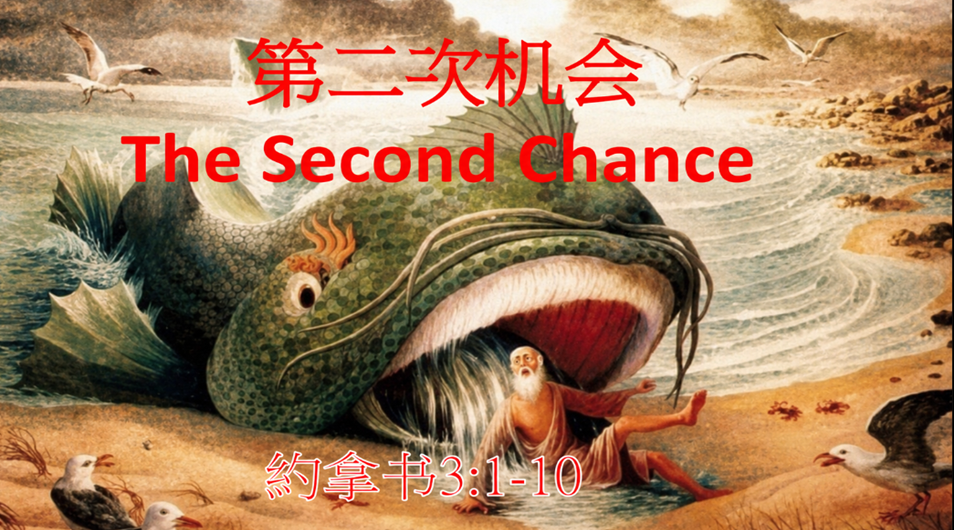 第二次机会
