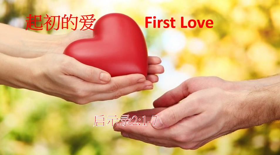 起初的愛