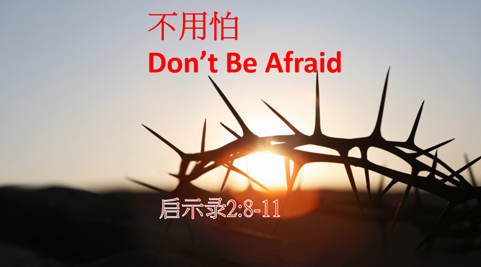 不用怕